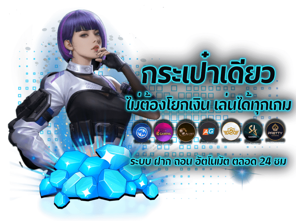 H25 กระเป๋า